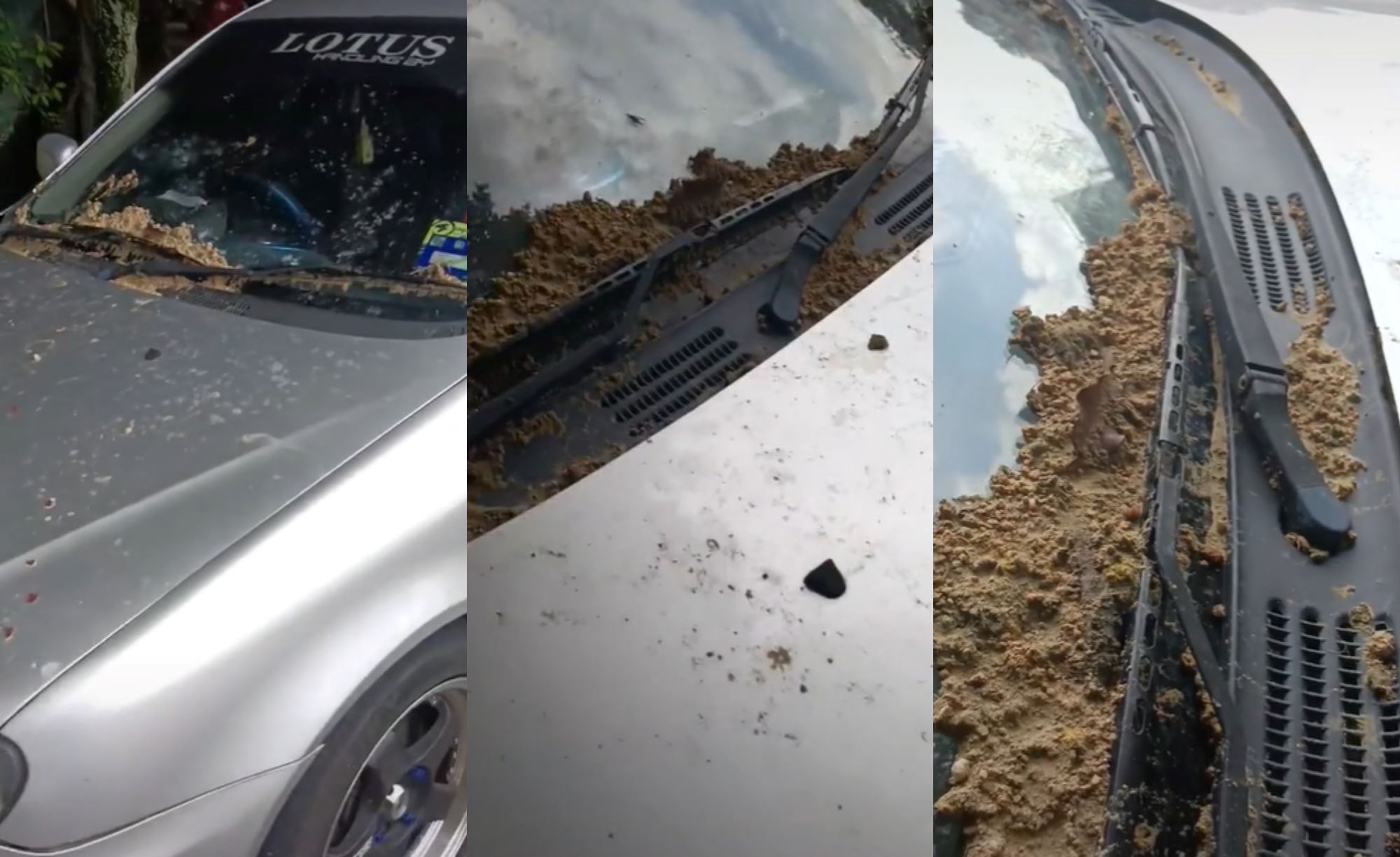 netizens are split over man calling out his neighbour on tiktok for smearing soil all over his car