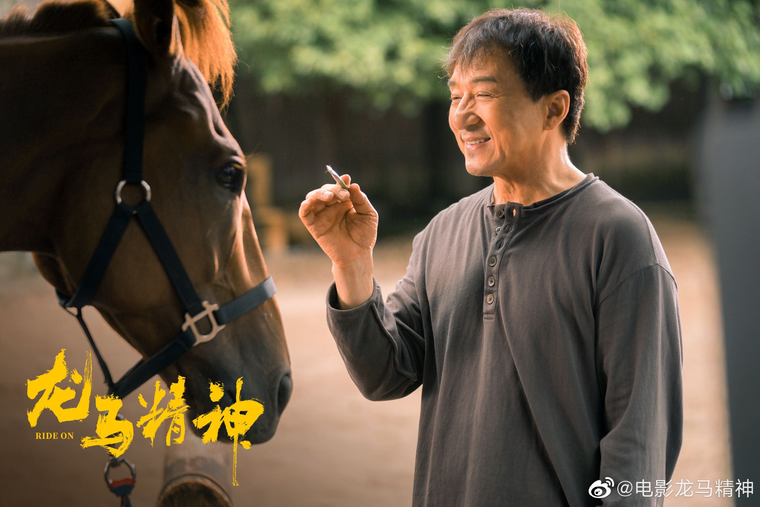 🎬《龙马精神》全阵容亮相 ✨电影定档12月31日上映🔥