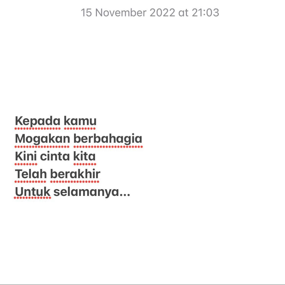 janna nick, dini schatzmann dah putus cinta? 