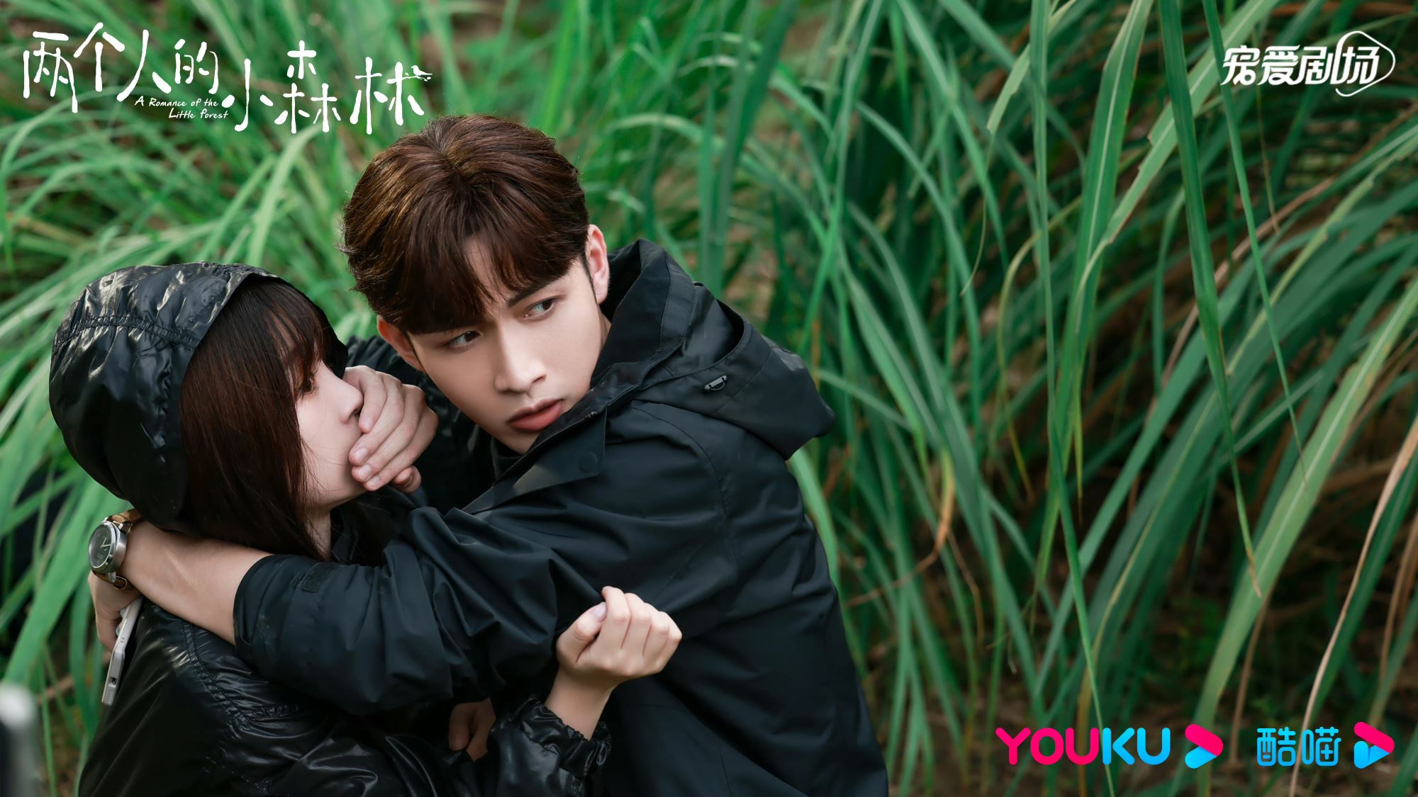 📺虞书欣《苍兰诀》《两个人的小森林》破万🎉成双平台热度破万女主演第一人🔥&nbsp;