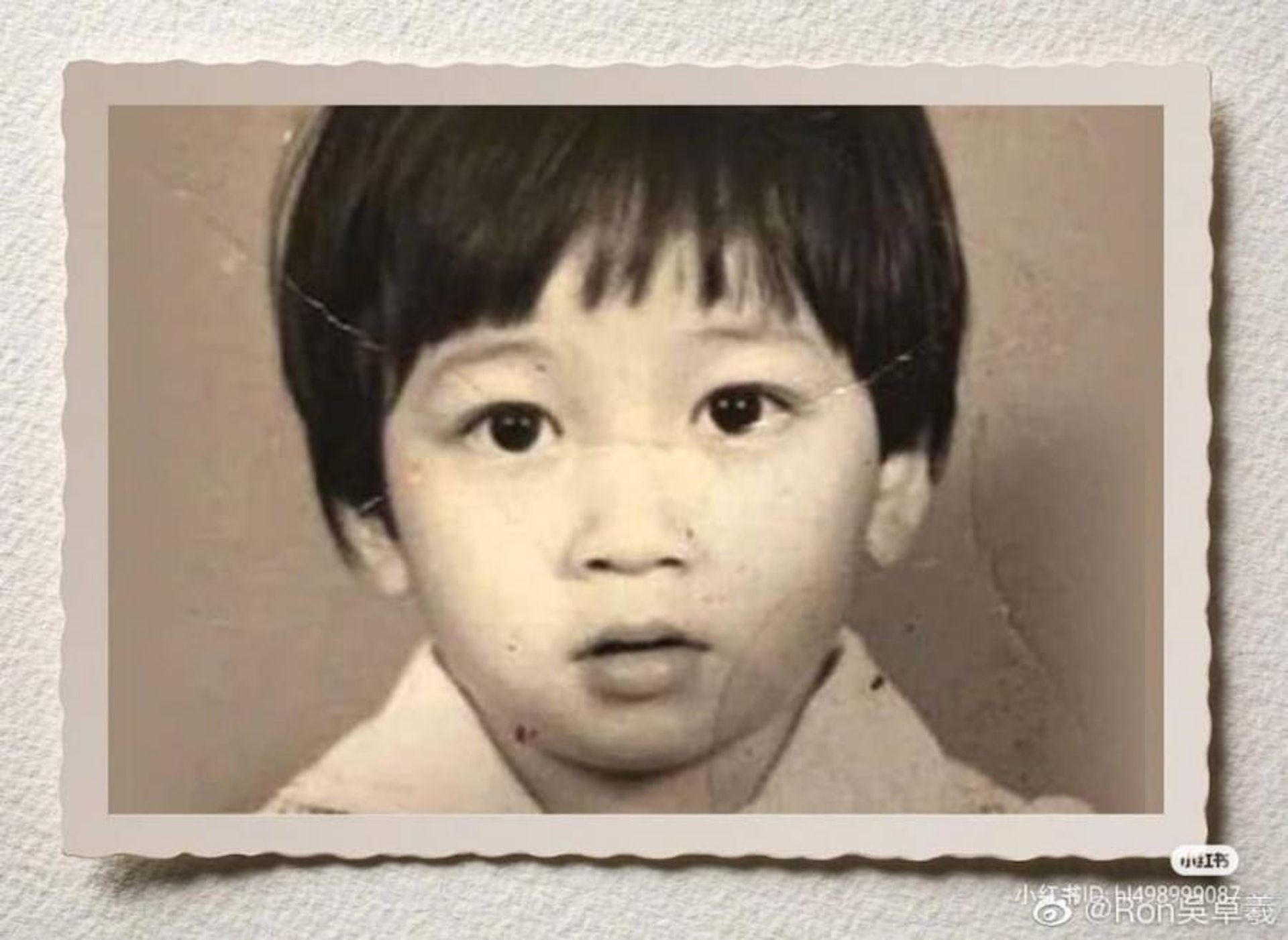 🔥《披荆斩棘2》吴卓羲搞笑虏获网友的心❗️童年照被翻出，眼仔碌碌好可爱🥰