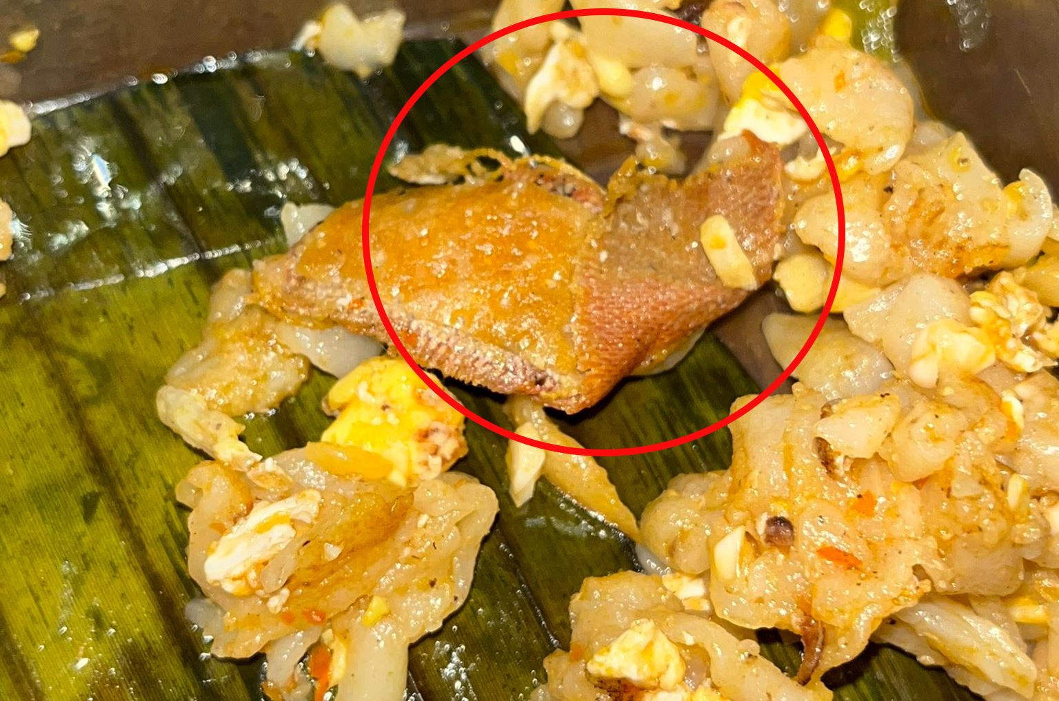 woman thought it was chicken skin, but found used band aid in her food instead