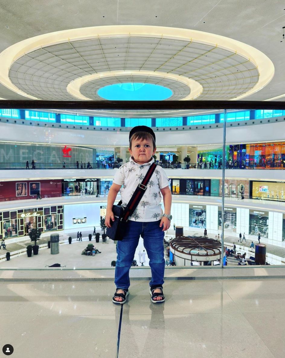 impian jadi kenyataan, hasbulla akan bertarung di ufc