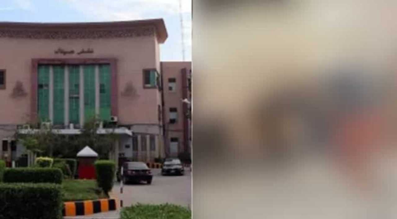 ngeri, 200 mayat ditemui reput atas bumbung hospital, jadi makanan helang, gagak