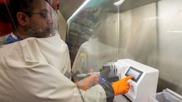 saintis as cipta virus ‘super-covid’ yang bunuh 80 peratus tikus makmal