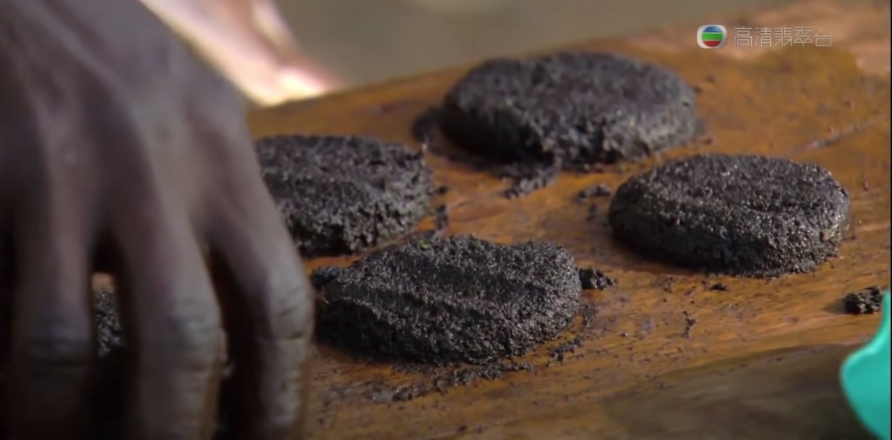 kumpul ribuan nyamuk dan hidang macam daging burger, katanya tinggi protein?