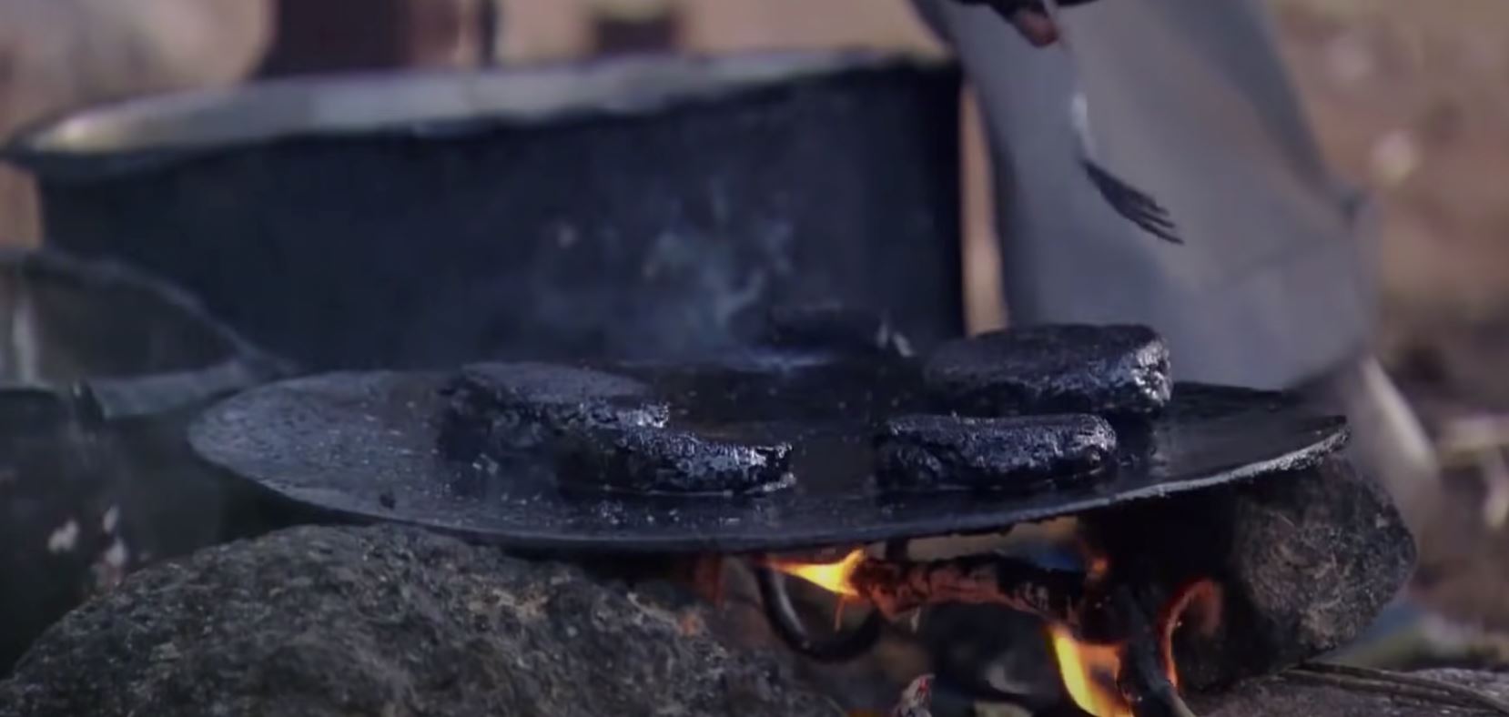 kumpul ribuan nyamuk dan hidang macam daging burger, katanya tinggi protein?