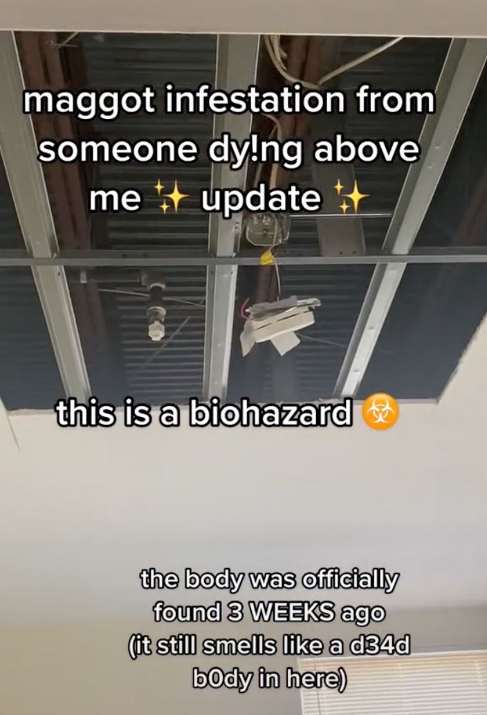 rumah tiba-tiba penuh ulat rupanya datang dari mayat jiran atas!