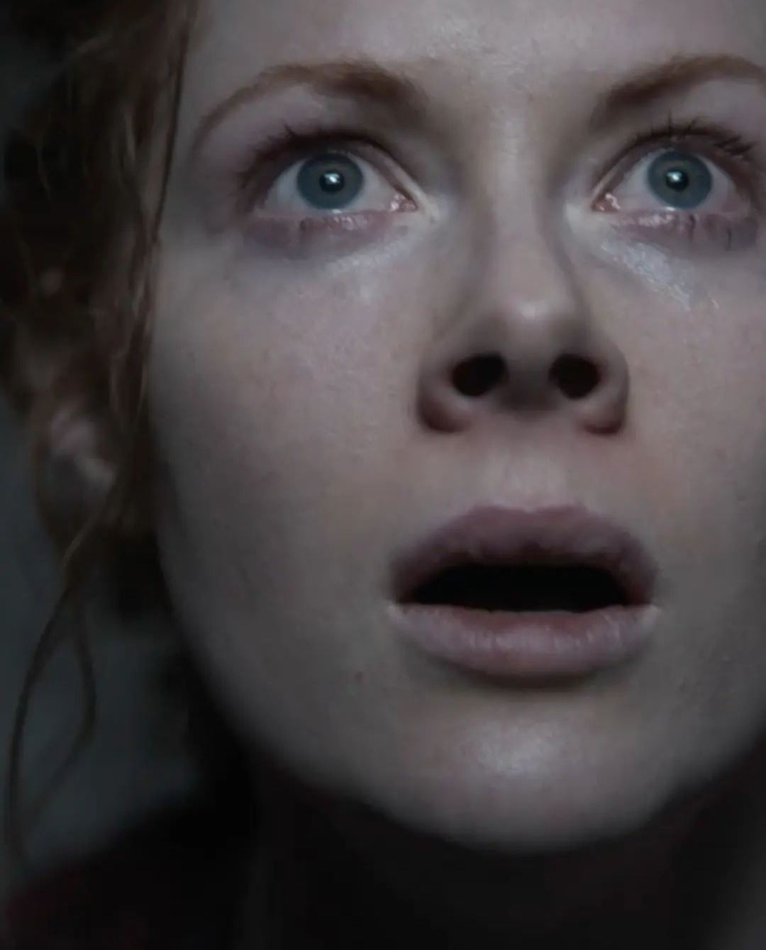 📺烧脑悬疑新剧《1899》11月17日上线🤩剧集由《暗黑》创作团队打造🔥