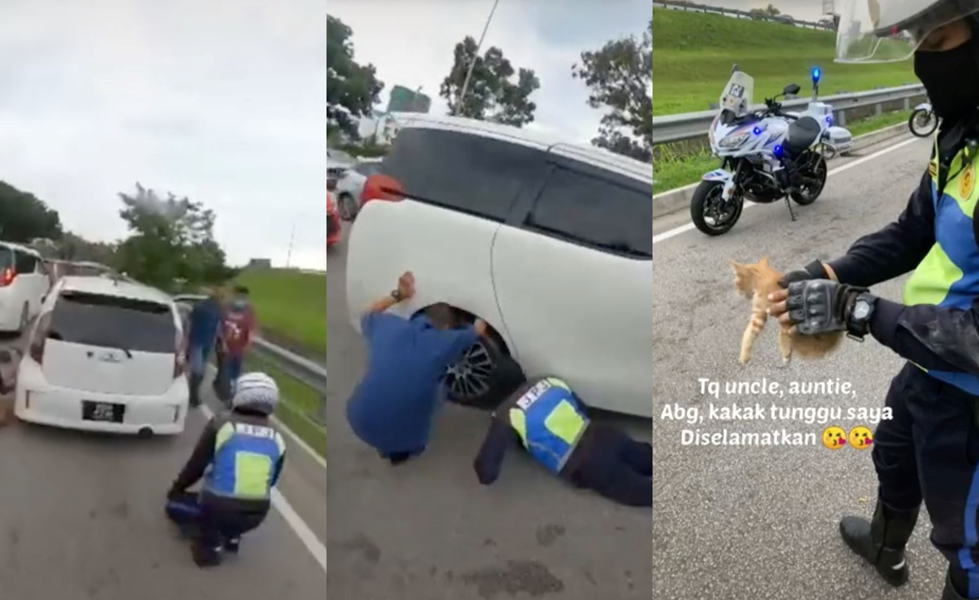 jpj officers stop road users on highway to save oyen playing “hide & seek” under cars 