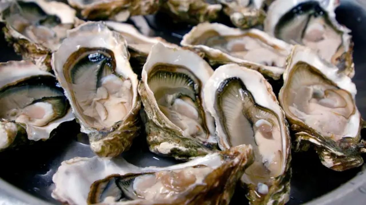 makin jadi trend, awas risiko keracunan bila makan tiram mentah