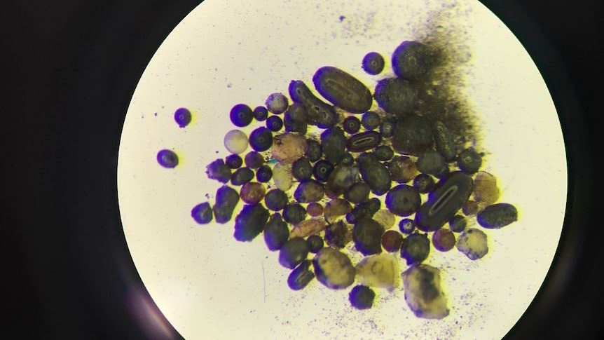 saintis dakwa jumpa berbilion tan takungan air di bulan, kelak boleh jadi ‘r&r’ di angkasa!