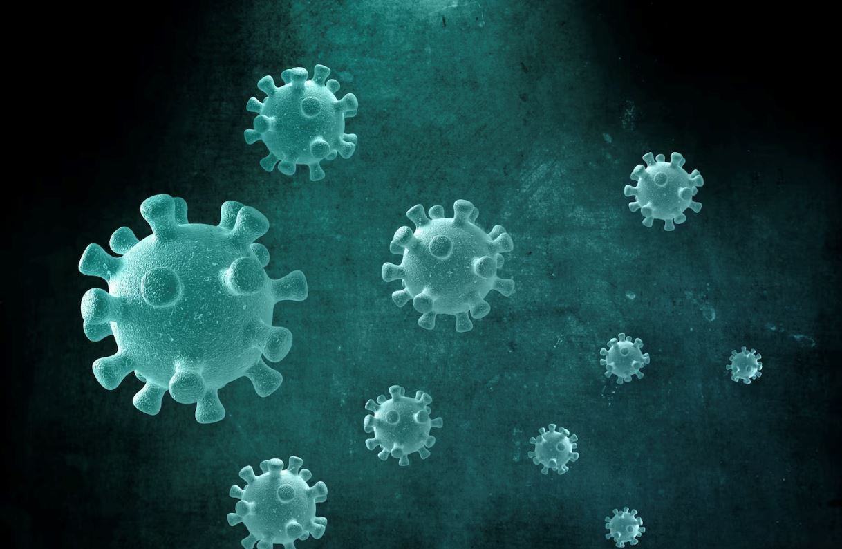 virus covid-19 akibatkan otak bayi dalam kandungan rosak – kajian