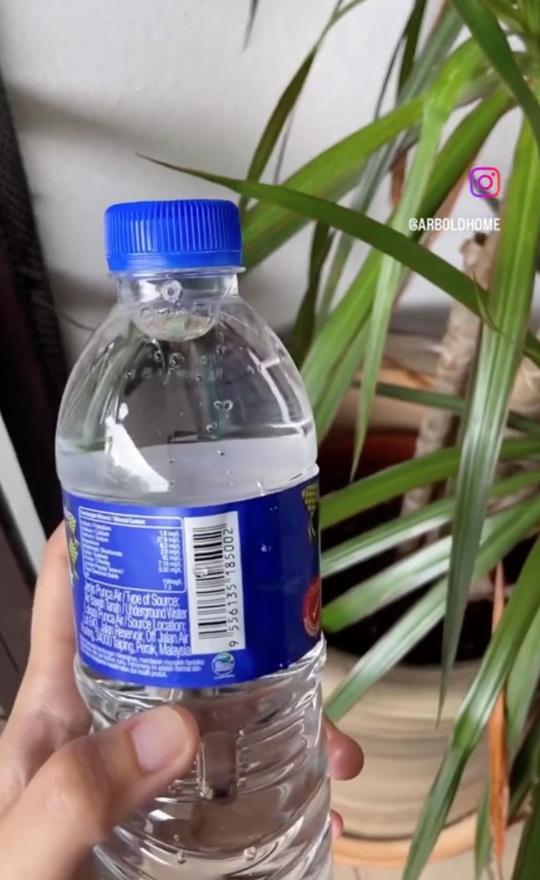 risau pokok mati masa balik beraya di kampung? cuba cara ni! [video]