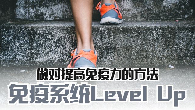 提升免疫系统的方法