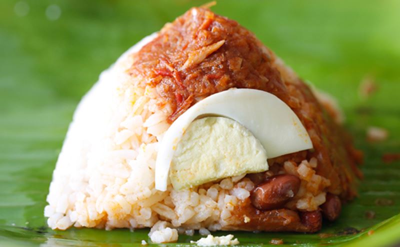 netizen teruja lihat ada subjek nasi lemak ditawarkan di universiti malaya