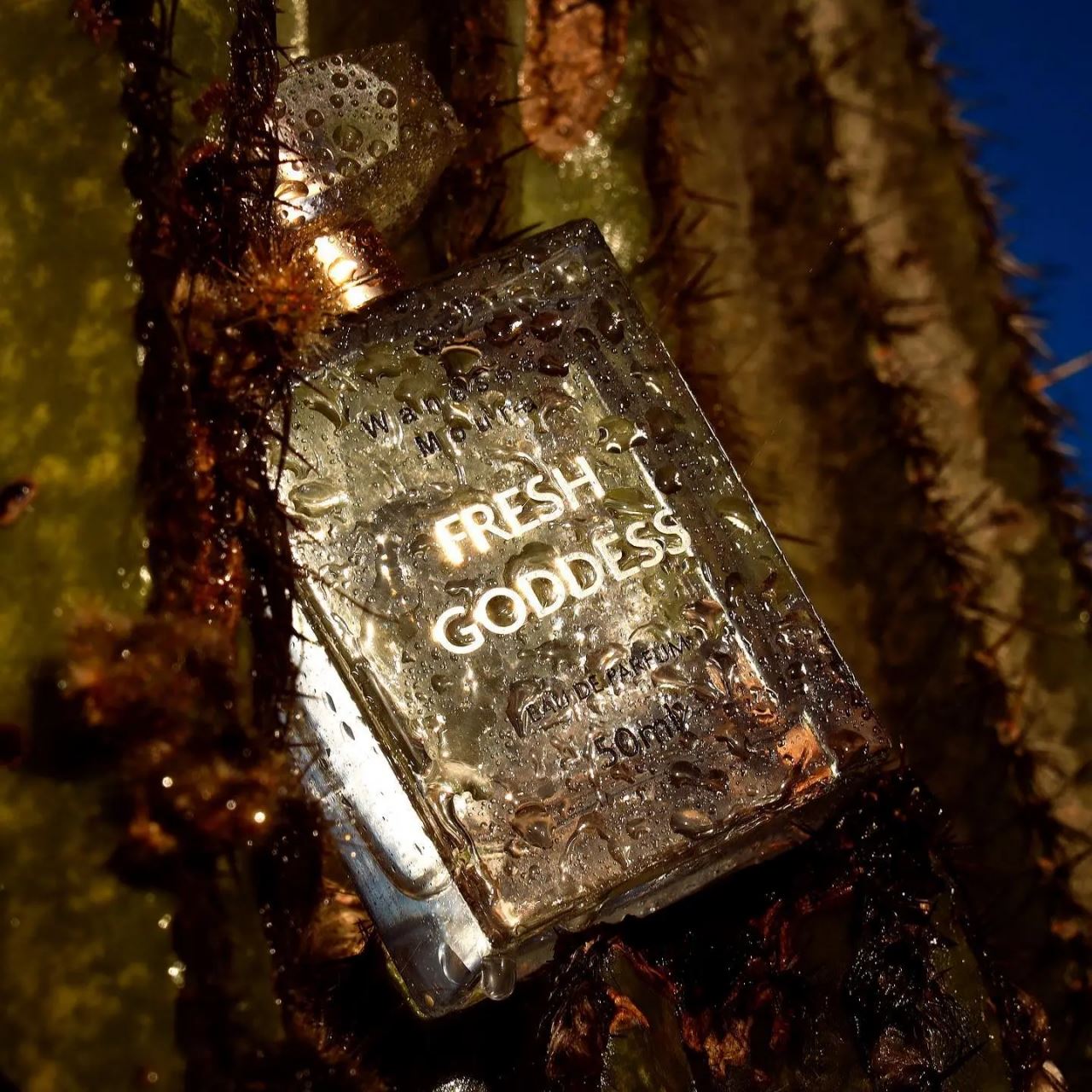 dapat sambutan ramai, model wanita jual minyak wangi campur peluh badannya