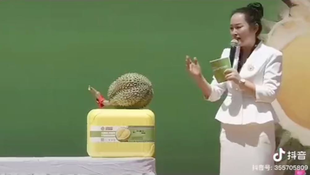 durian pertama ‘made in china’ dijual pada harga cecah rm250,000 sebiji [video]