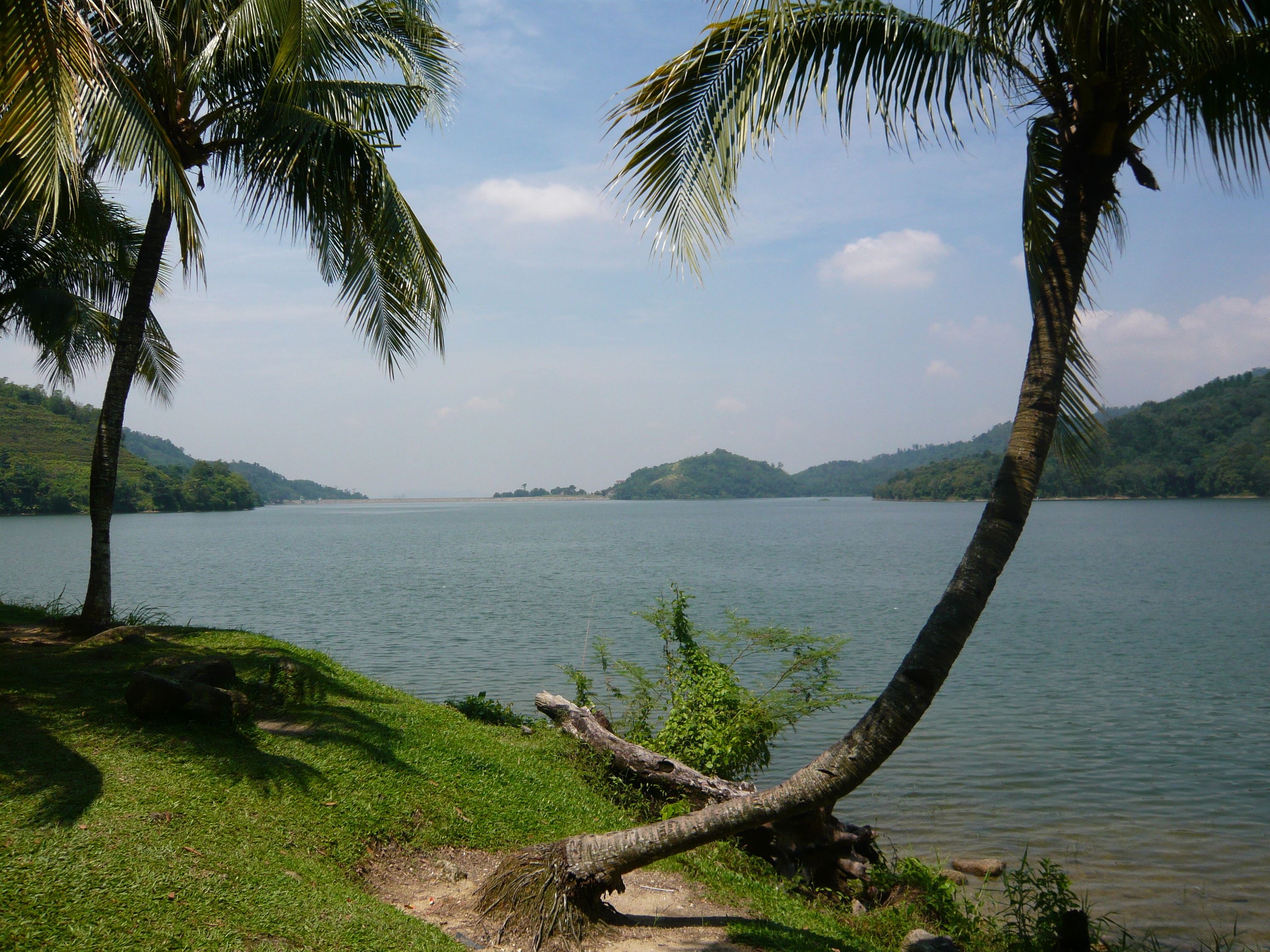 流星雨最佳观赏地❗雪隆区的朋友可以去这几个地方✨