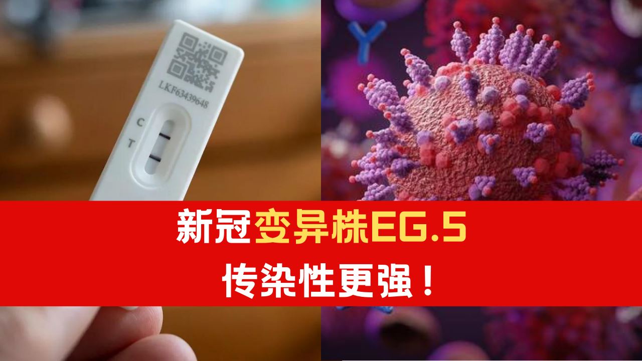 eg-5.png