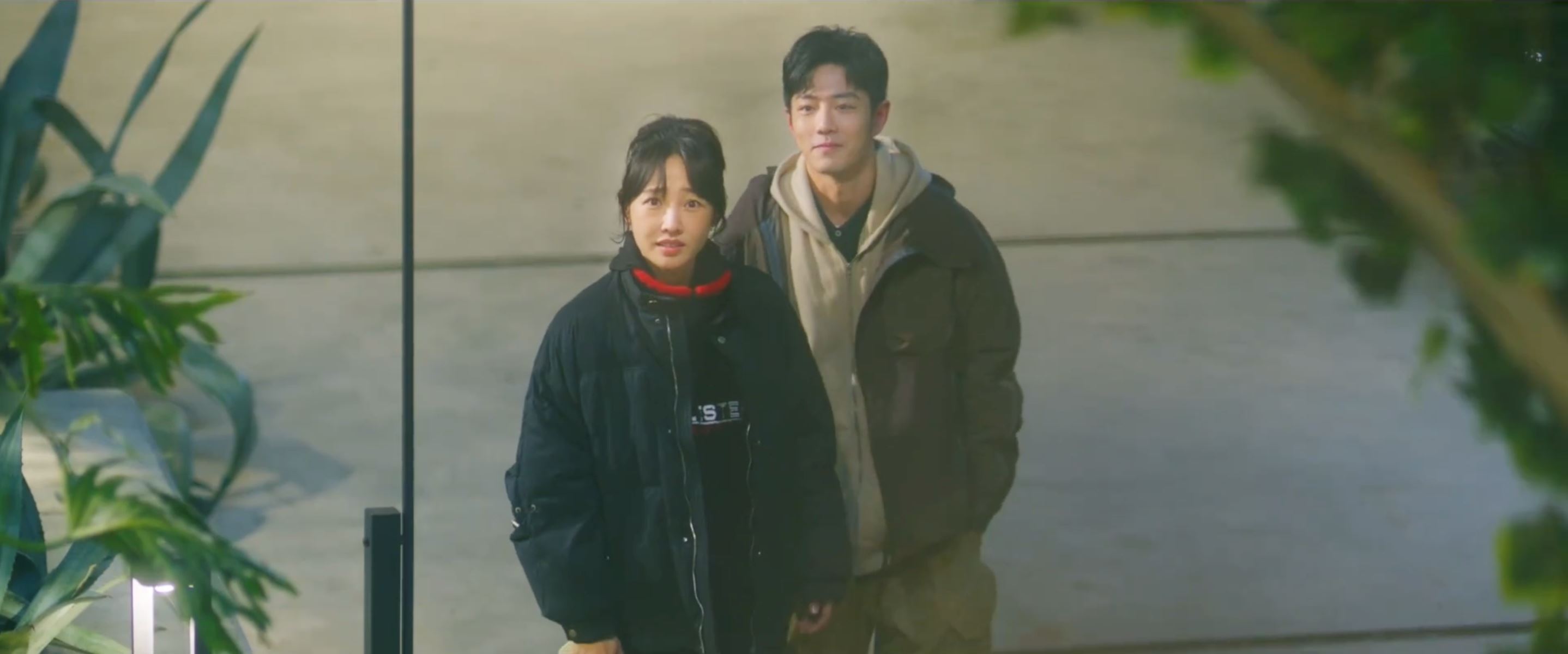 陆剧《骄阳伴我》901开播❗白百合与肖战双向奔赴🔥