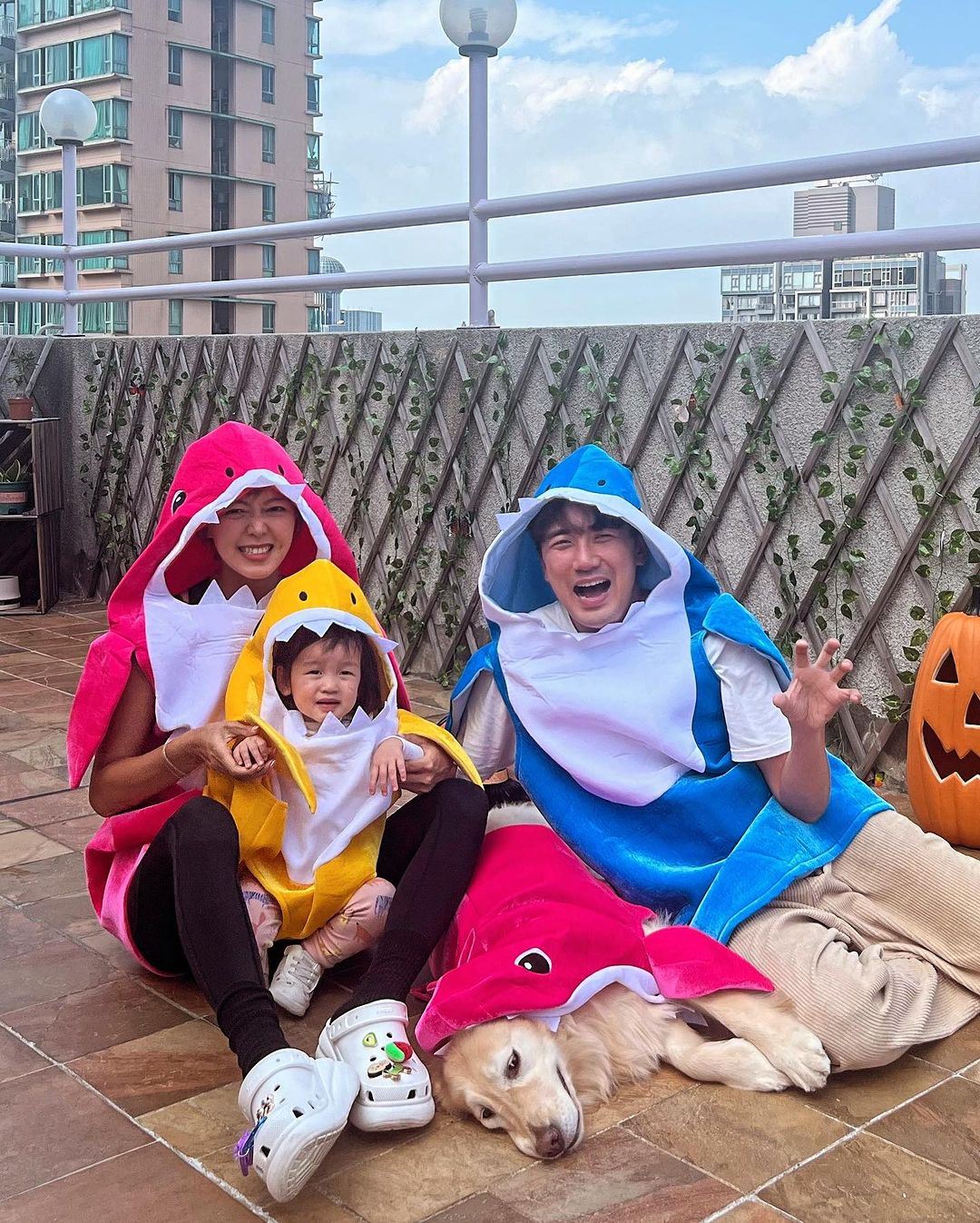 洪永城晒二胎b超❗太太梁诺妍预产期在2024年4月🔥