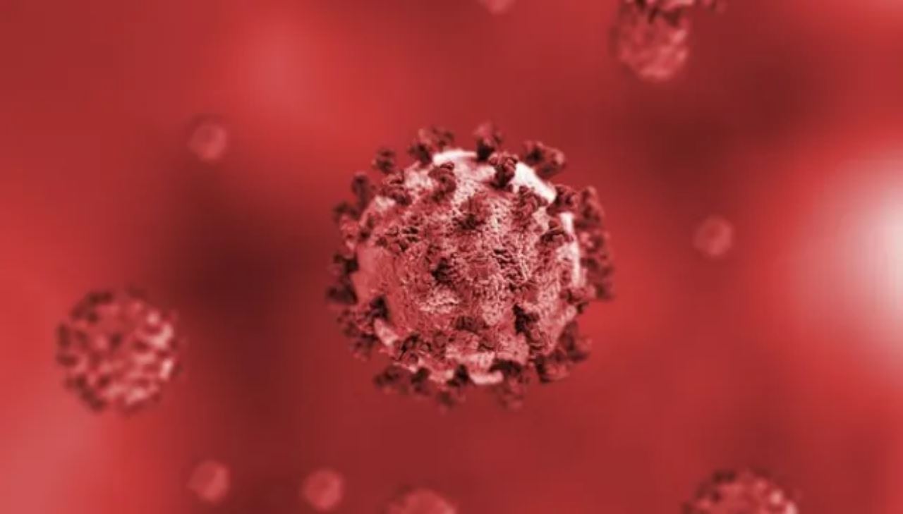 saintis jumpa virus baru boleh akibatkan demam teruk, sakit kepala