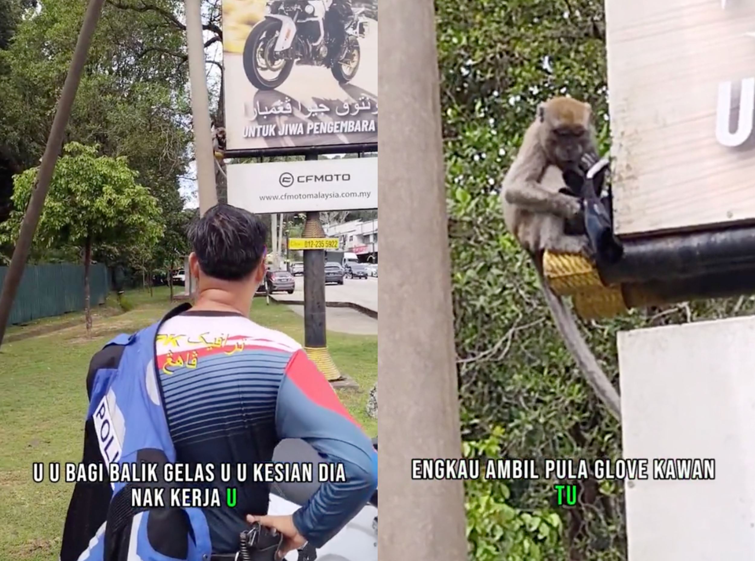 abang long! police officer shares video of his colleague getting bullied by monkey, m'sians amused