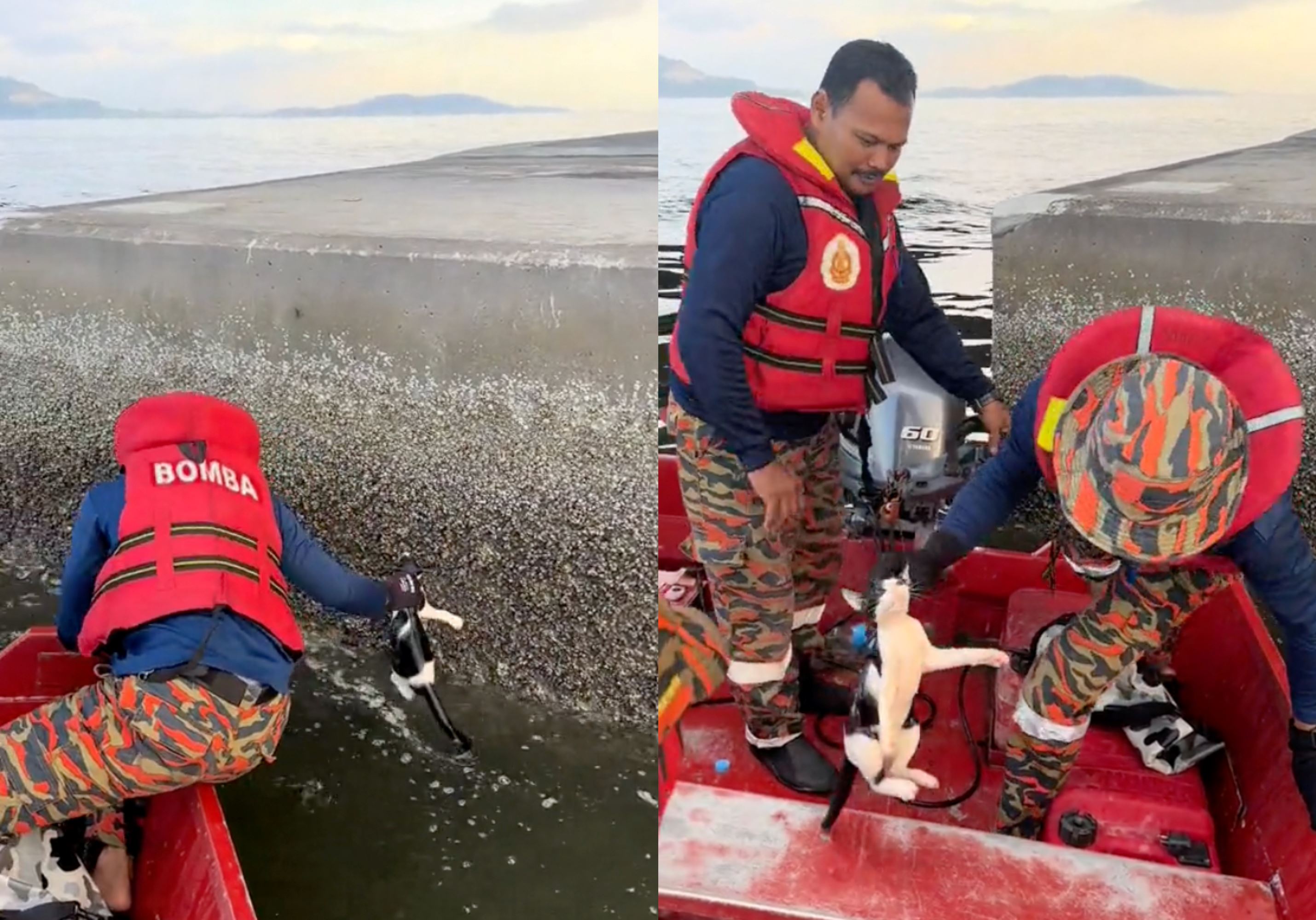 “hero!” m’sians online thank abang bomba for saving drowning kitty at penang bridge!
