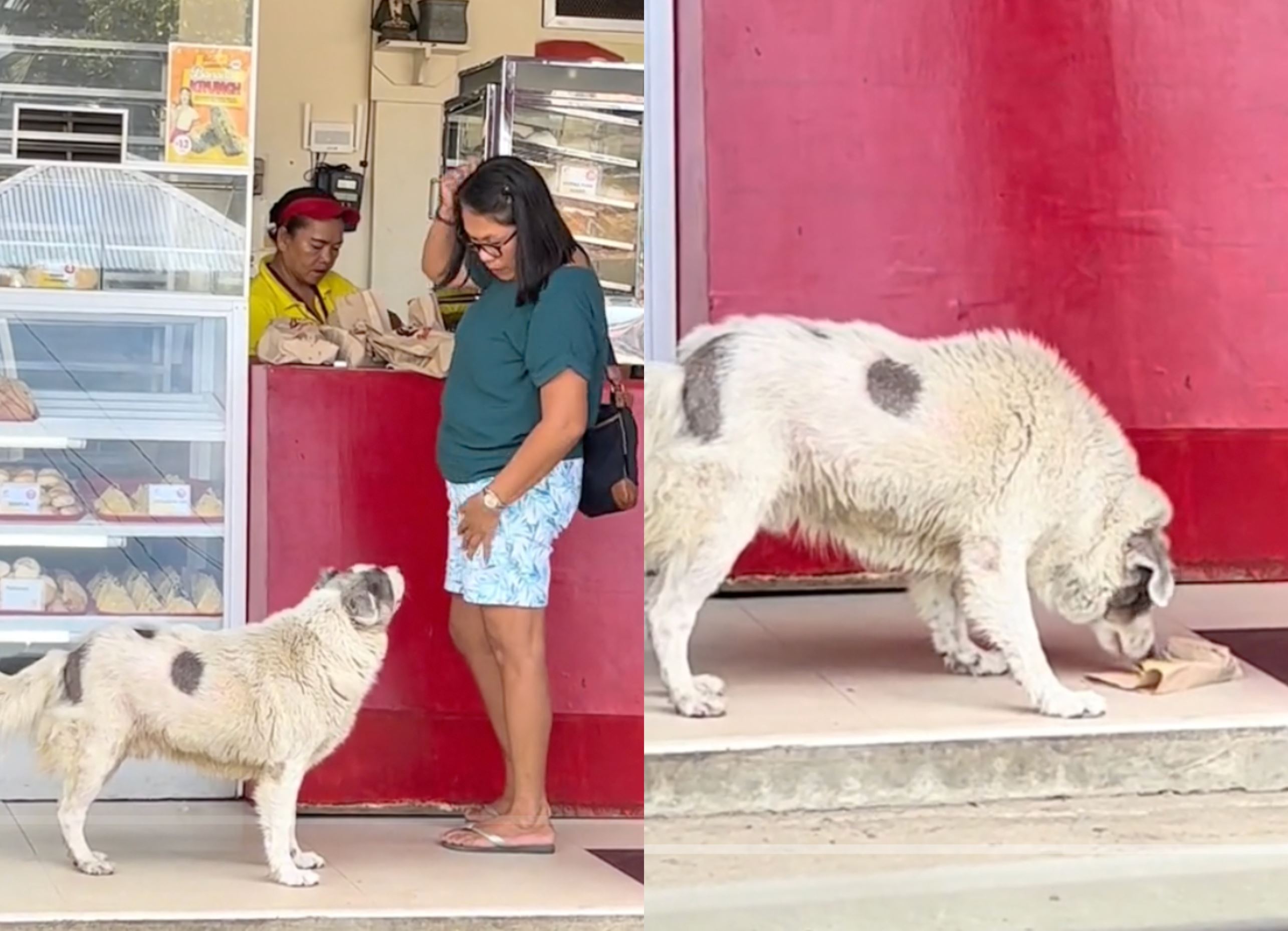 netizens praise kind aunty in the philippines buying pastry for hungry doggo while buying food for herself!