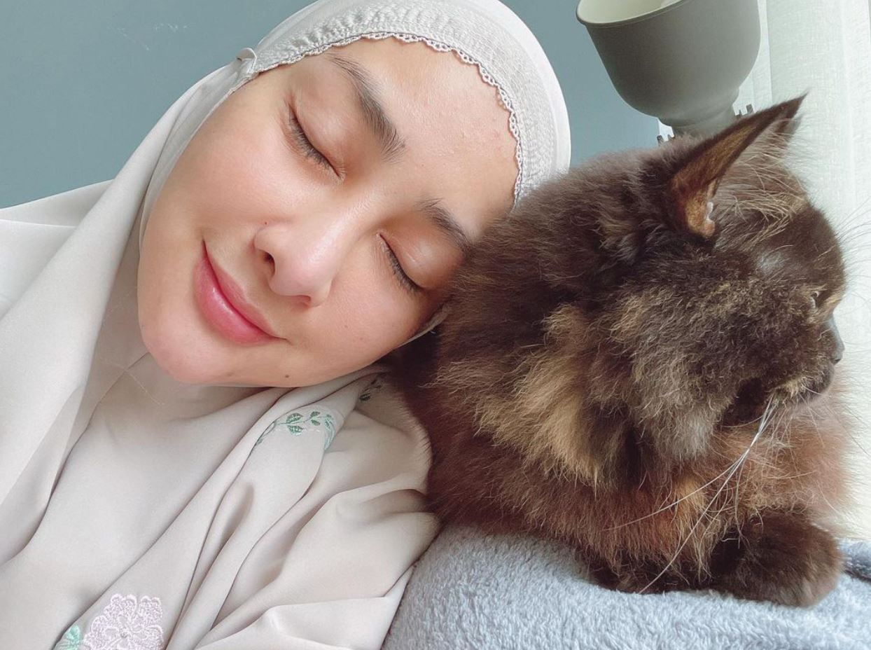 “orang tak bela kucing, tak faham apa kita rasa,” rita rudaini terlalu sedih kucing kesayangan mati