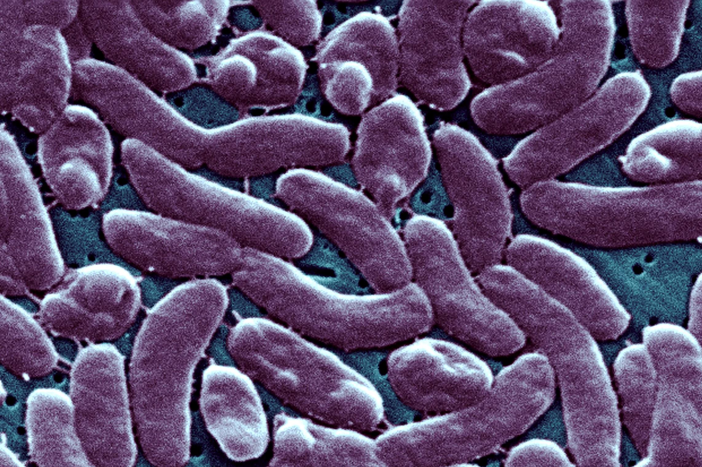 woman in kelantan goes viral selling nasi kerabu despite flood waters rising to knee level