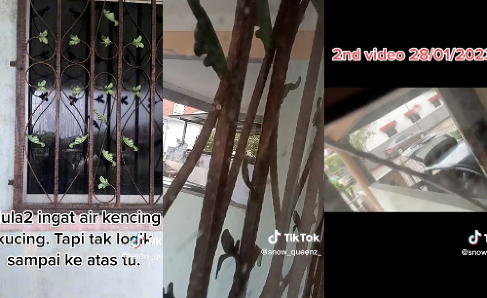 video of neighbour throwing urine into woman’s home went viral, netizens advice her to lodge police report!