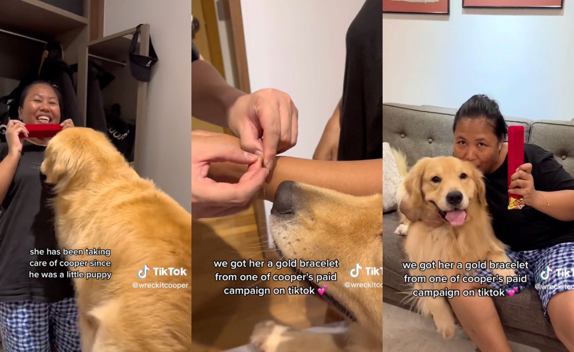 golden retriever gifts gold to helper who has been taking care of him since he was a puppy! 