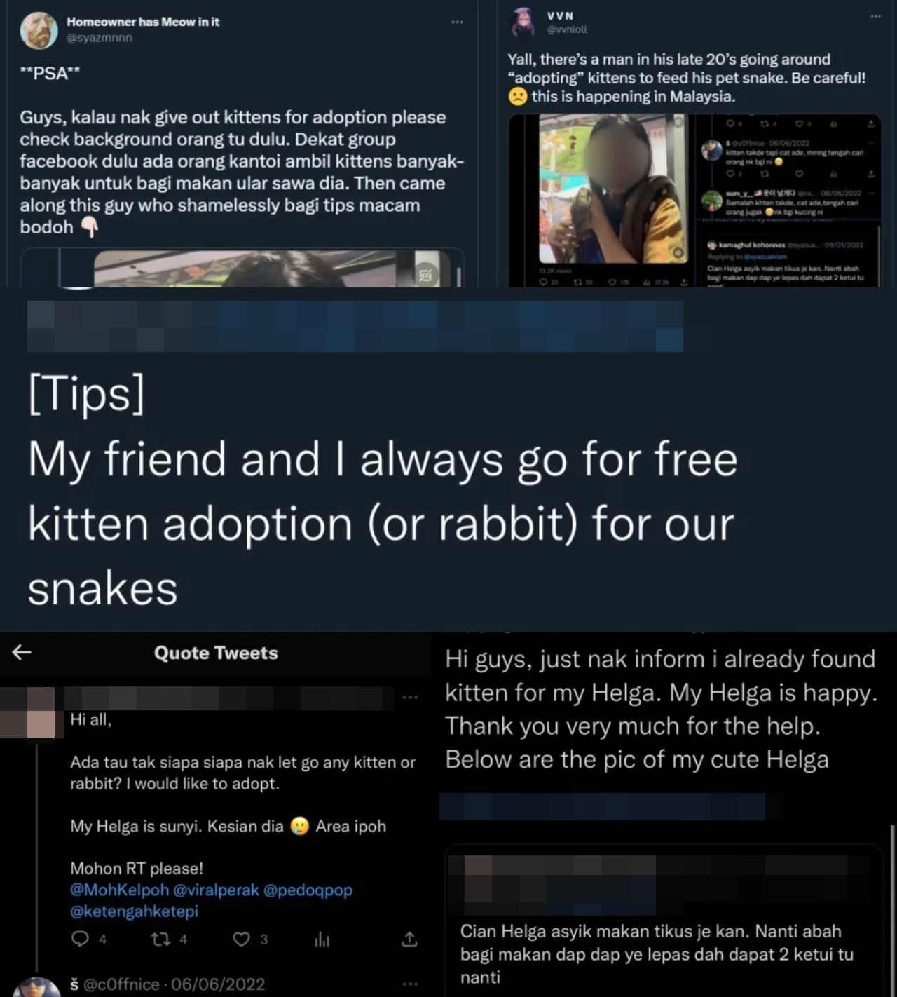 lelaki ini dikecam mahu bela kucing untuk jadi makanan ular peliharaannya