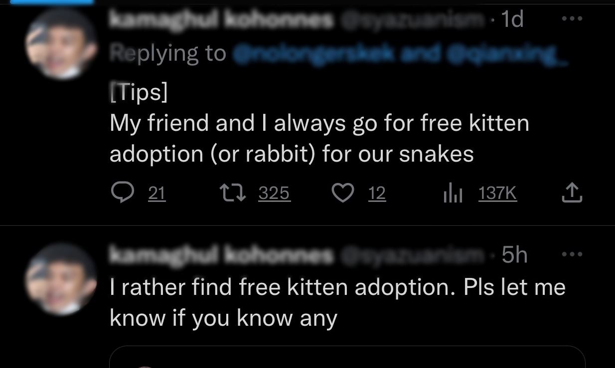 m’sians reveal individual who looks for kittens to adopt online allegedly feeds them to his pet snake