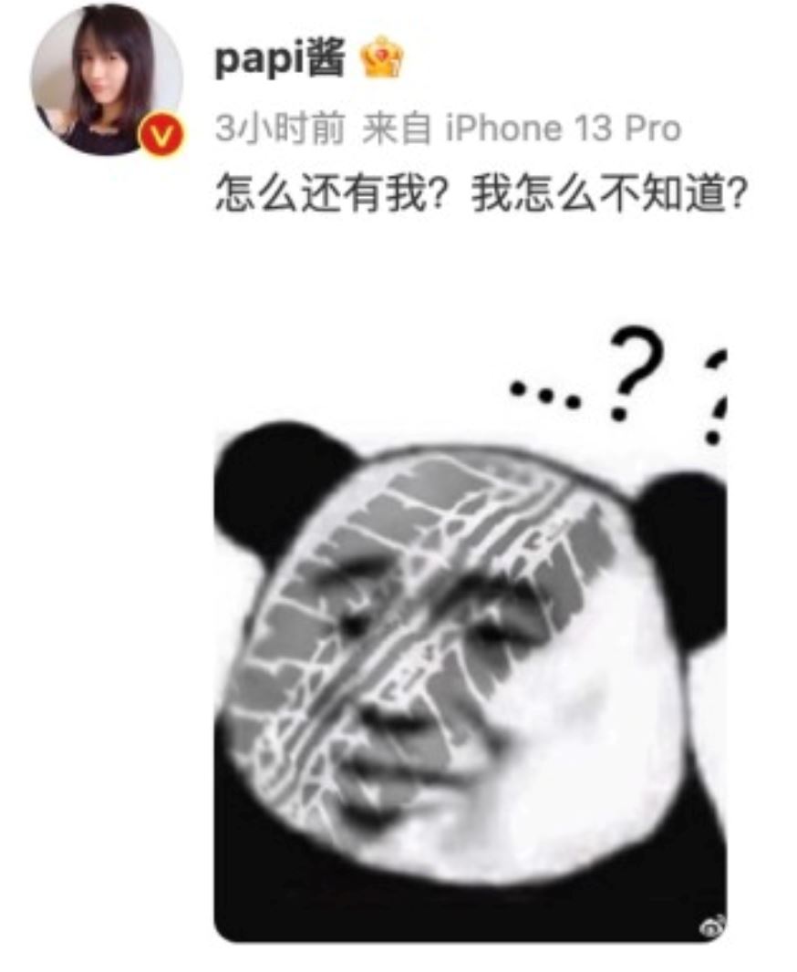 《浪姐4》大马代表再换人！数位女星在线辟谣！