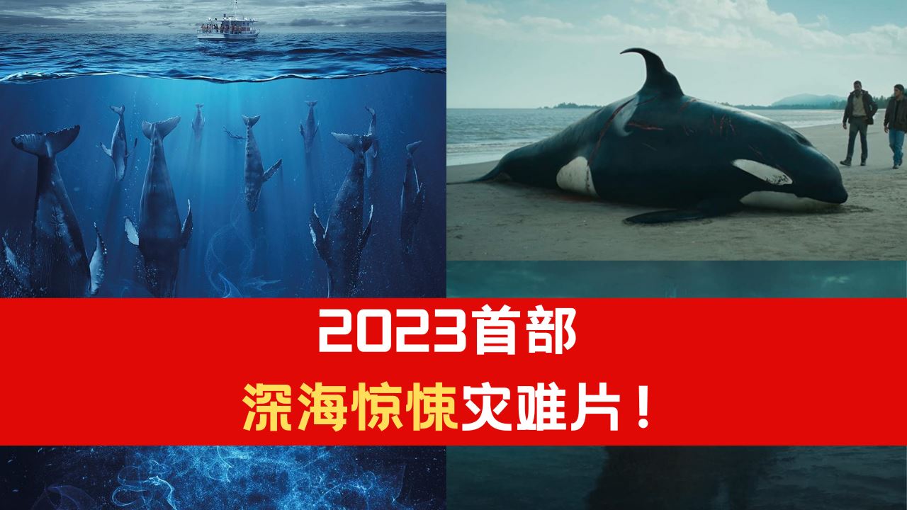 2023_3.png