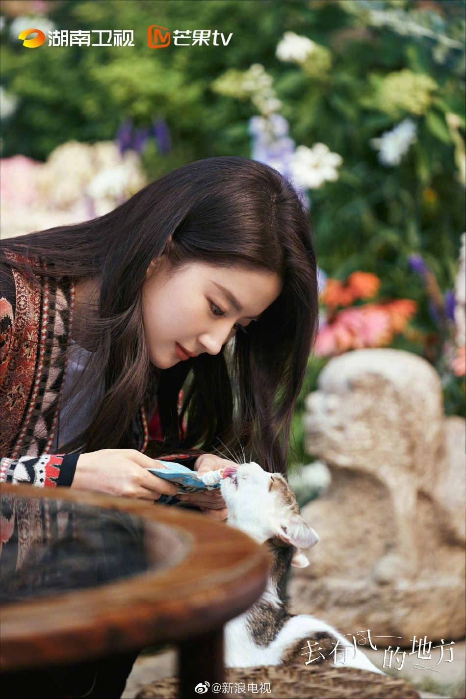 📺《去有风的地方》官宣定档1月3日❗️刘亦菲、李现搭档主演🔥超高颜值让人期待