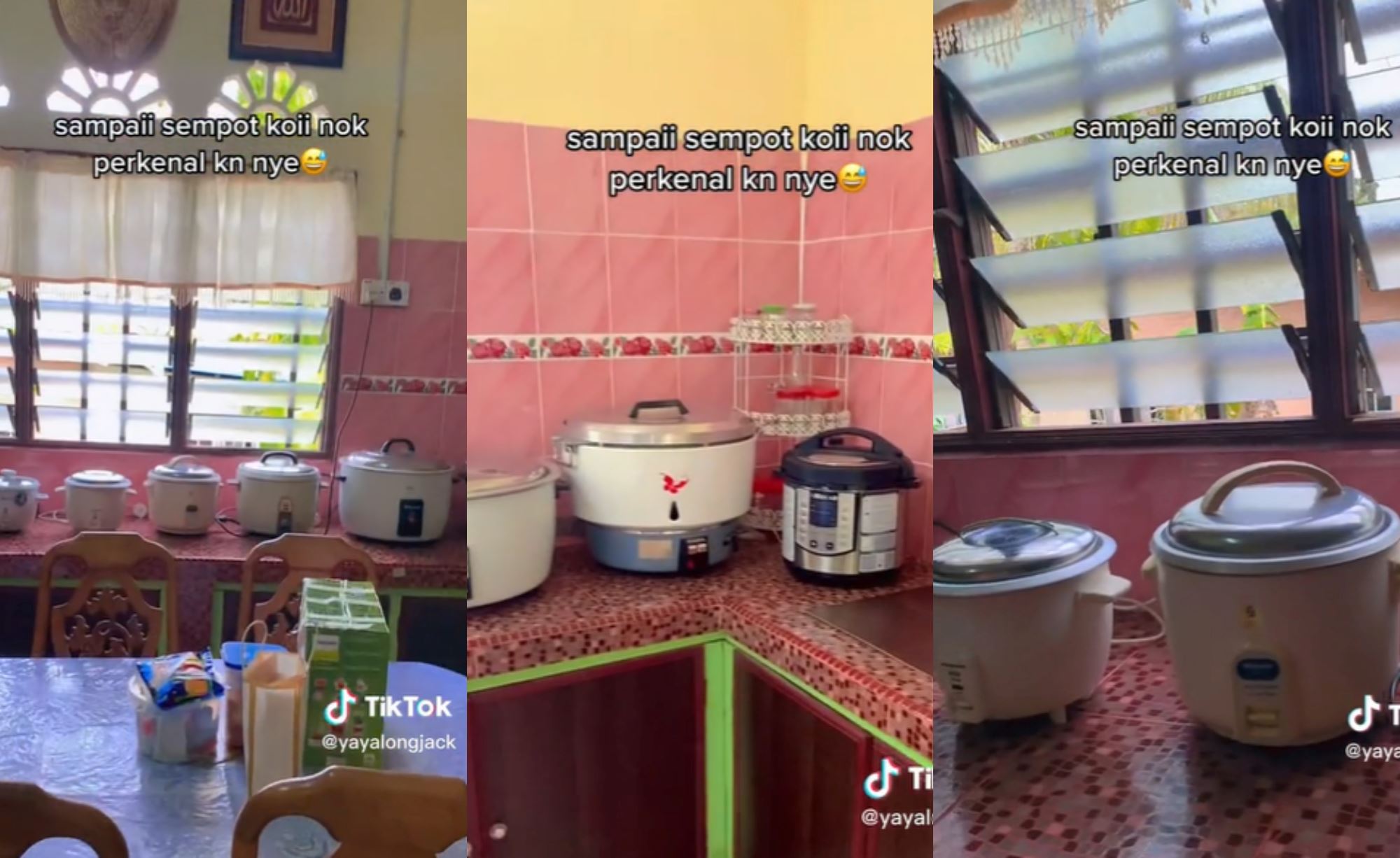 woman shares her grandmother’s rice cooker collection, netizens amused!