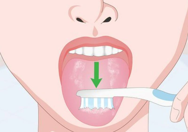 do you need to brush your tongue? bacteria and germs are usually found on your taste buds! 