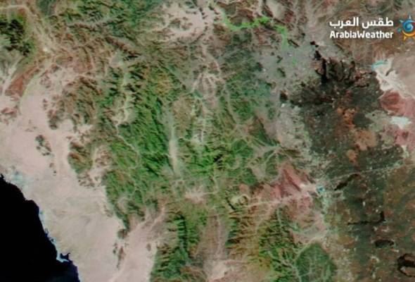 kawasan gurun padang pasir di makkah dan madinah kini menghijau