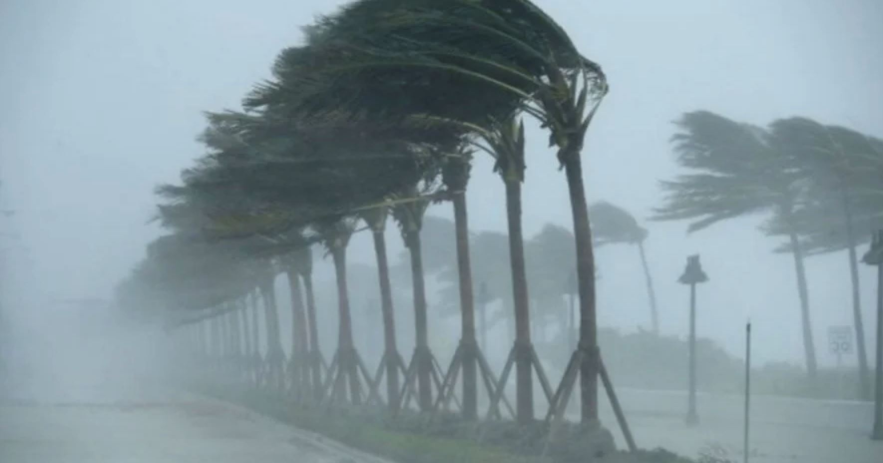【天气预测】新春佳节连续5天或迎来暴雨！