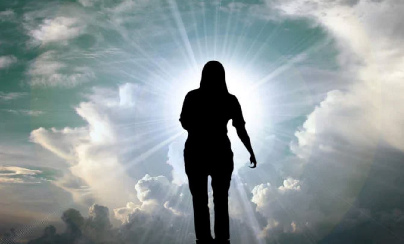 “dead” author comes back to life two years later after allegedly faking her own death