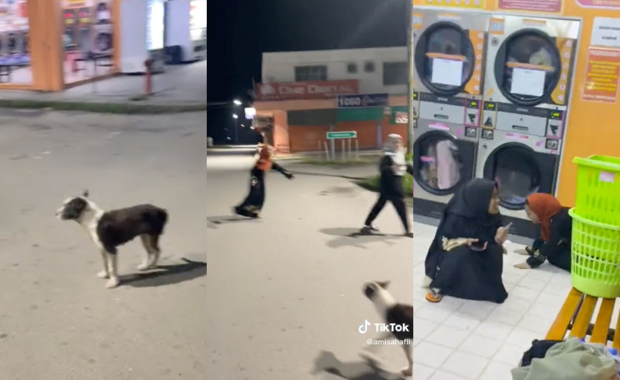 “your laugh!” video of girls being chased by playful doggo went viral, malaysians amused!