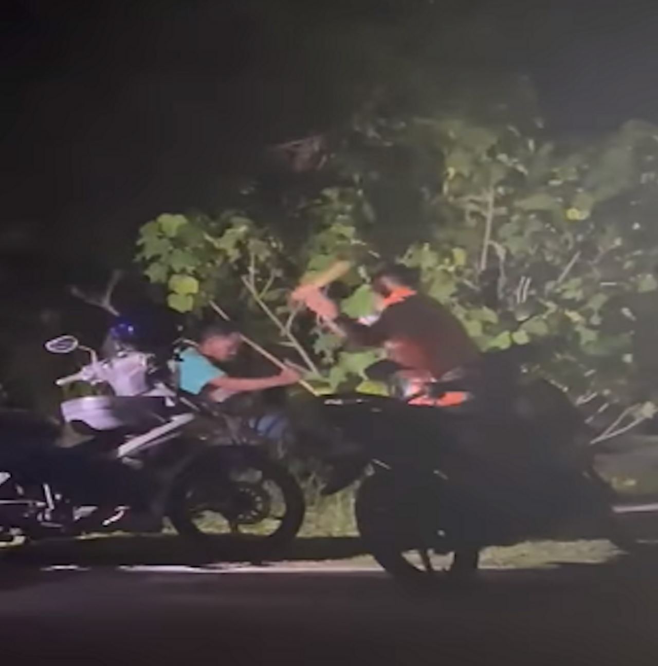 polis buru dua lelaki pukul anjing sampai mati di pulau pinang