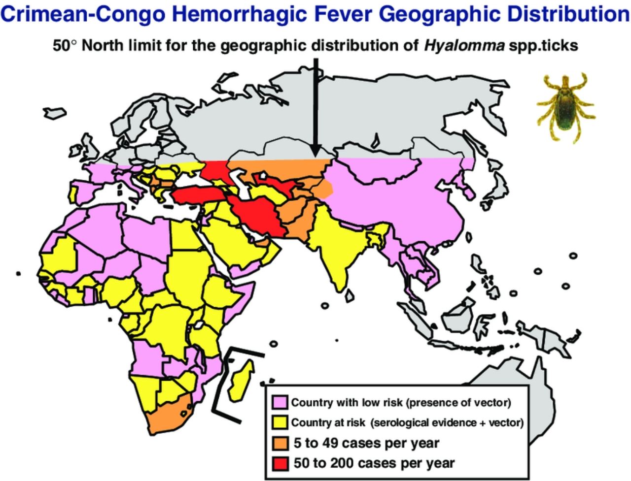 pakar kesihatan beri amaran virus maut cchf kini merebak ke eropah