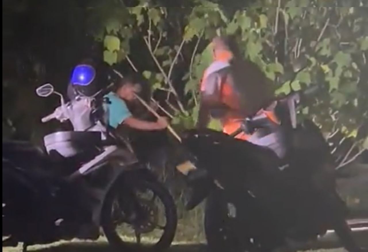 polis buru dua lelaki pukul anjing sampai mati di pulau pinang