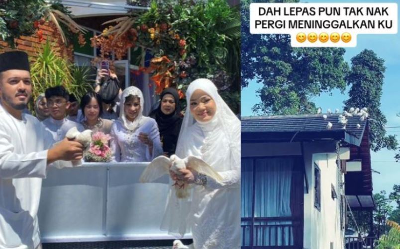 a.aida menyesal lepas 50 merpati masa anak kahwin, resort kini penuh najis burung