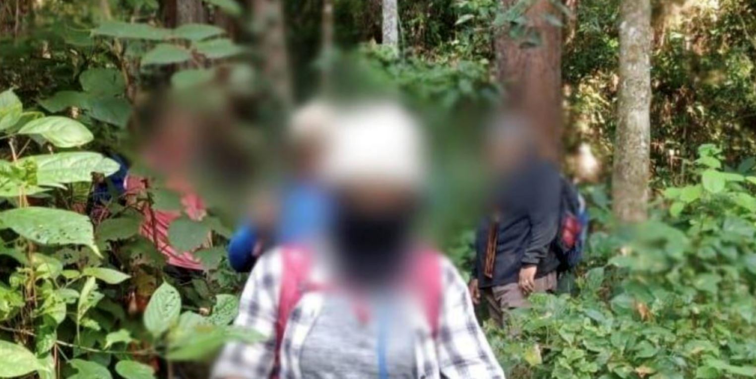 caught in the act! 23 arrested for entering pahang forest reserve without permit